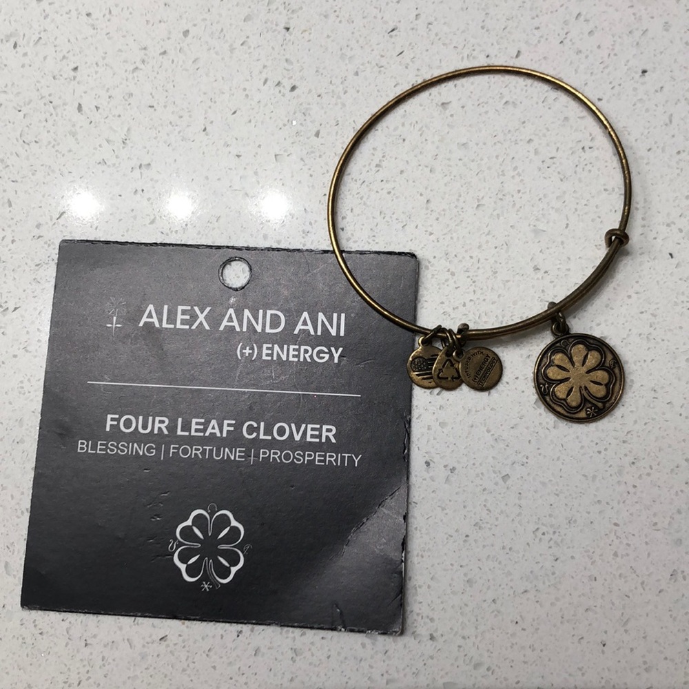 Alex and Ani bracelet